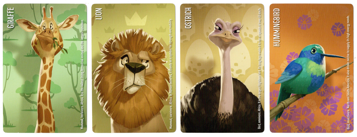 Similo-Wild-Animals-Cards-02