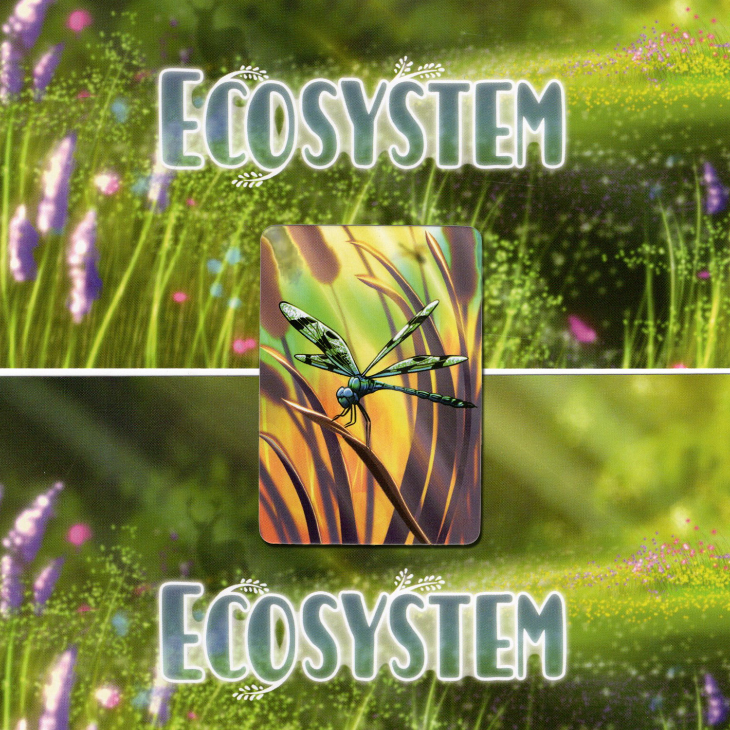 Ecosystem-Dragonfly-Card