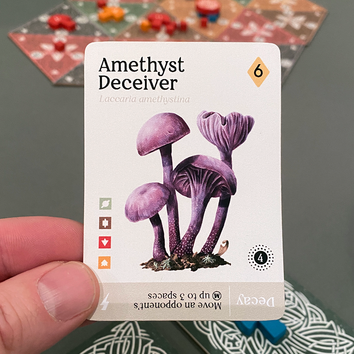 Mycelia Amethyst Deceiver
