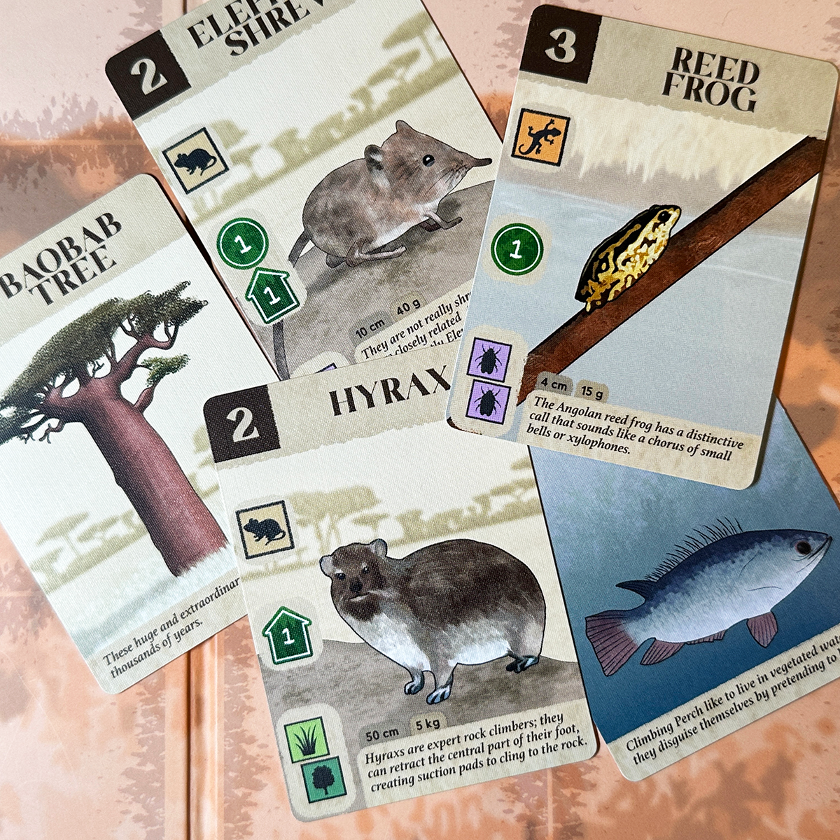 A selection of Kavango Cards Image © Board Game Review UK