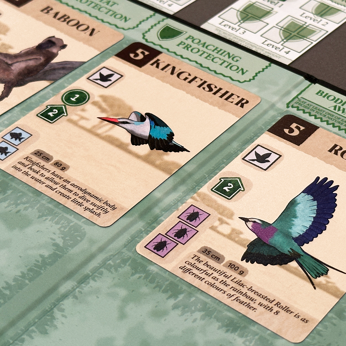 Two bird cards from KavangoImage © Board Game Review UK