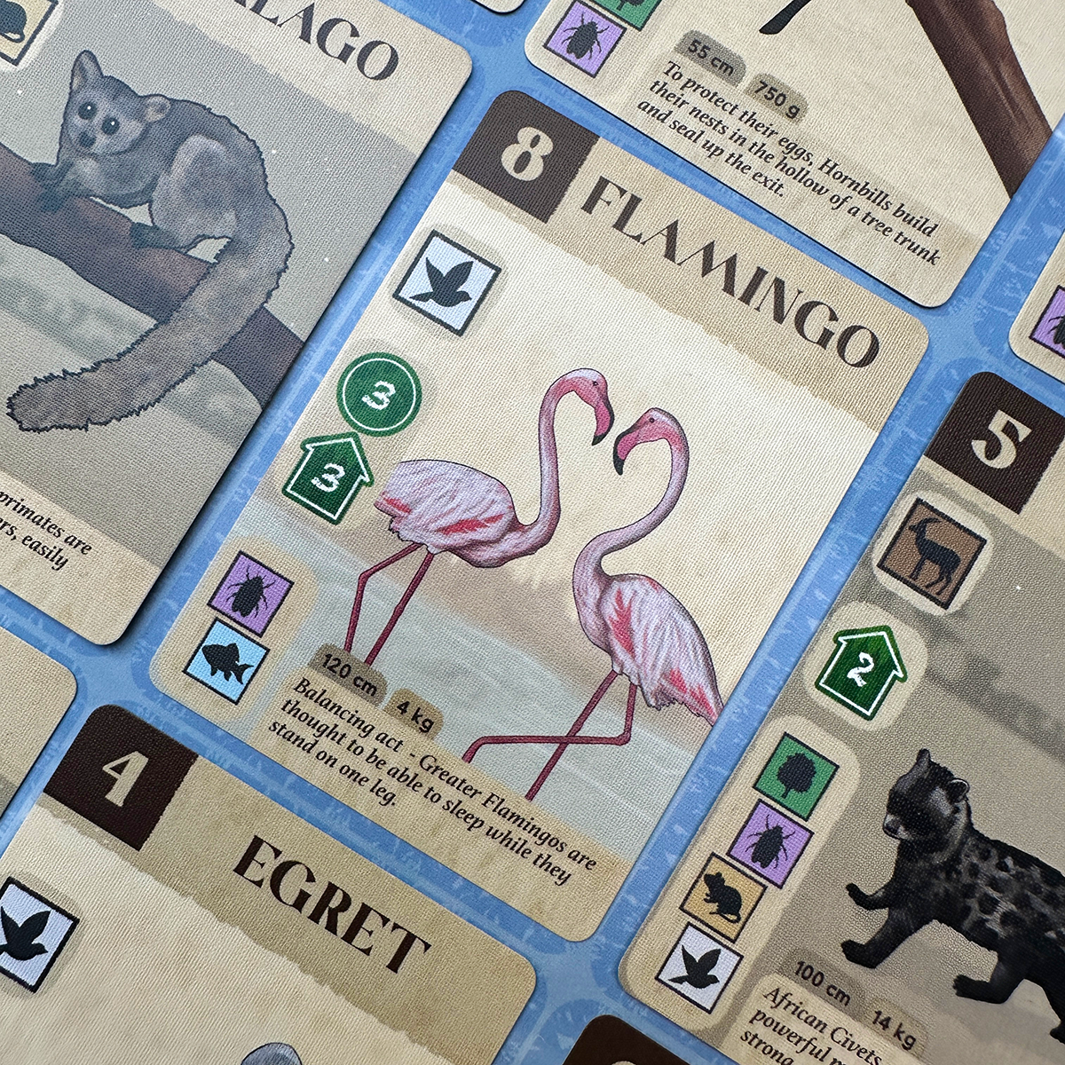 Flamingos in KavangoImage © Board Game Review UK