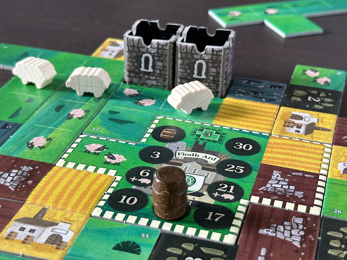 Tipperary Board Game During Play