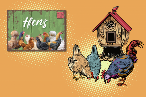 Hens Card Game Review-01