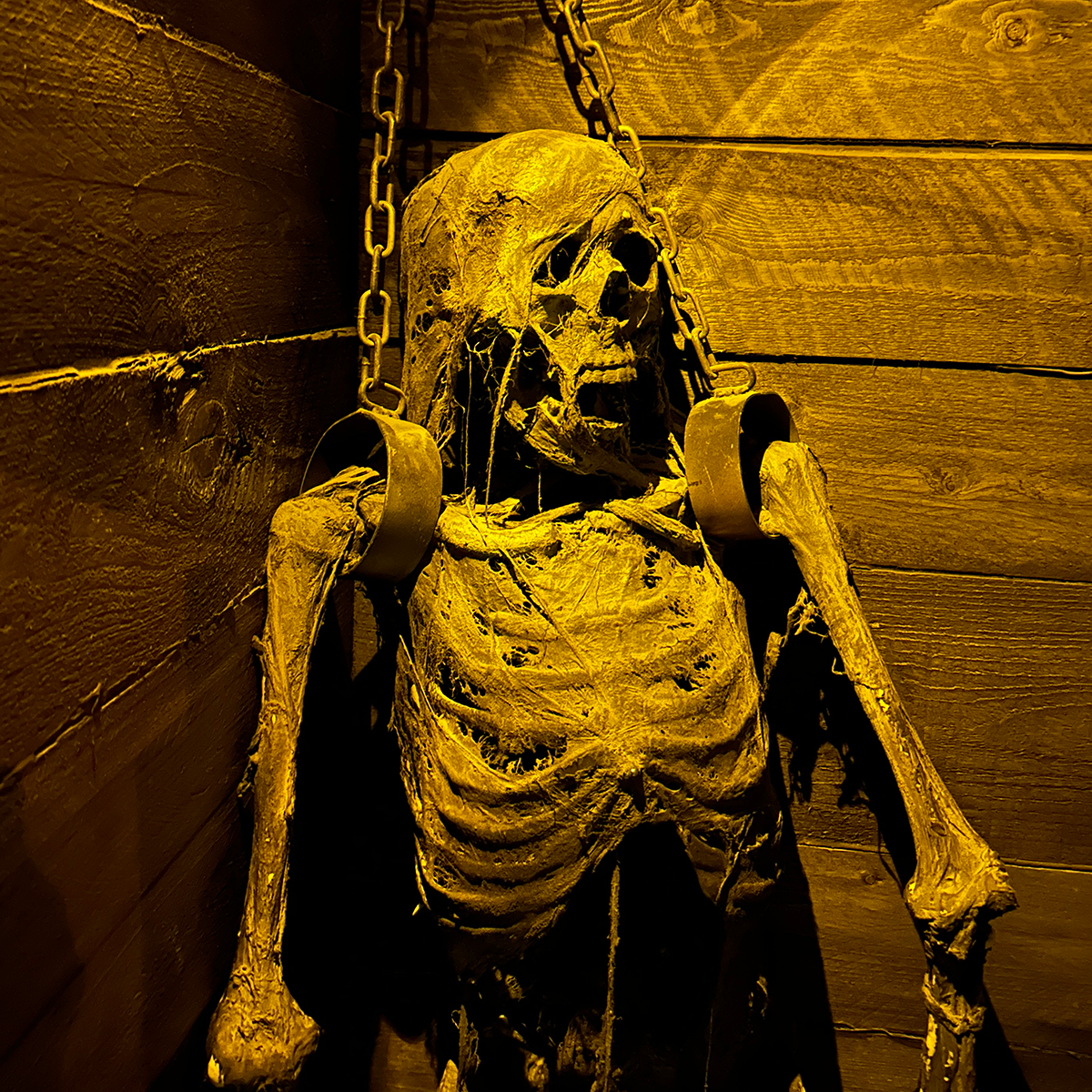 Tulleys Mutiny Escape Room Review, Skeleton