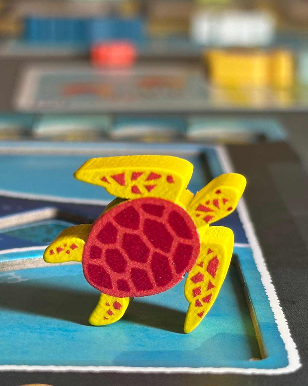 Aqua Garden Performing Turtle!