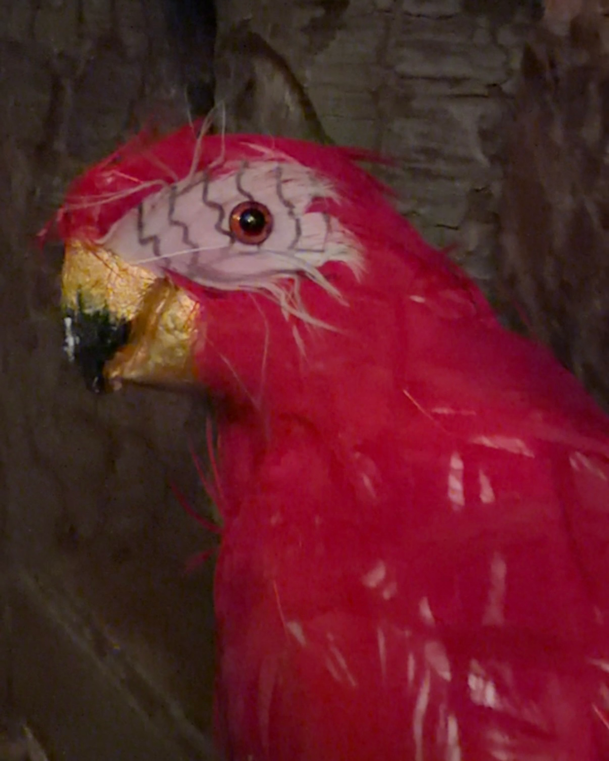 Pier Pressure Smugglers Secret Parrot