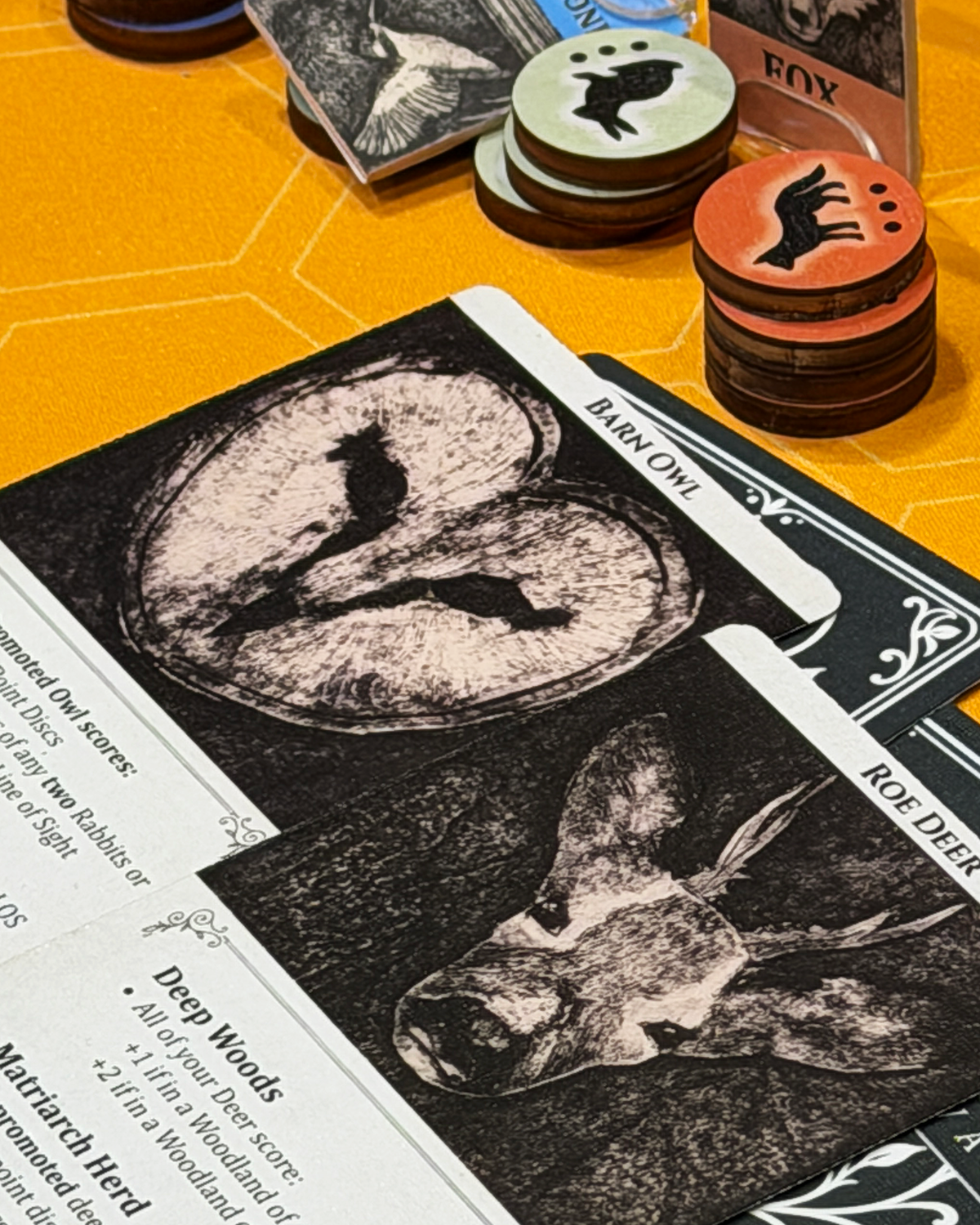 Meadowvale Card Art